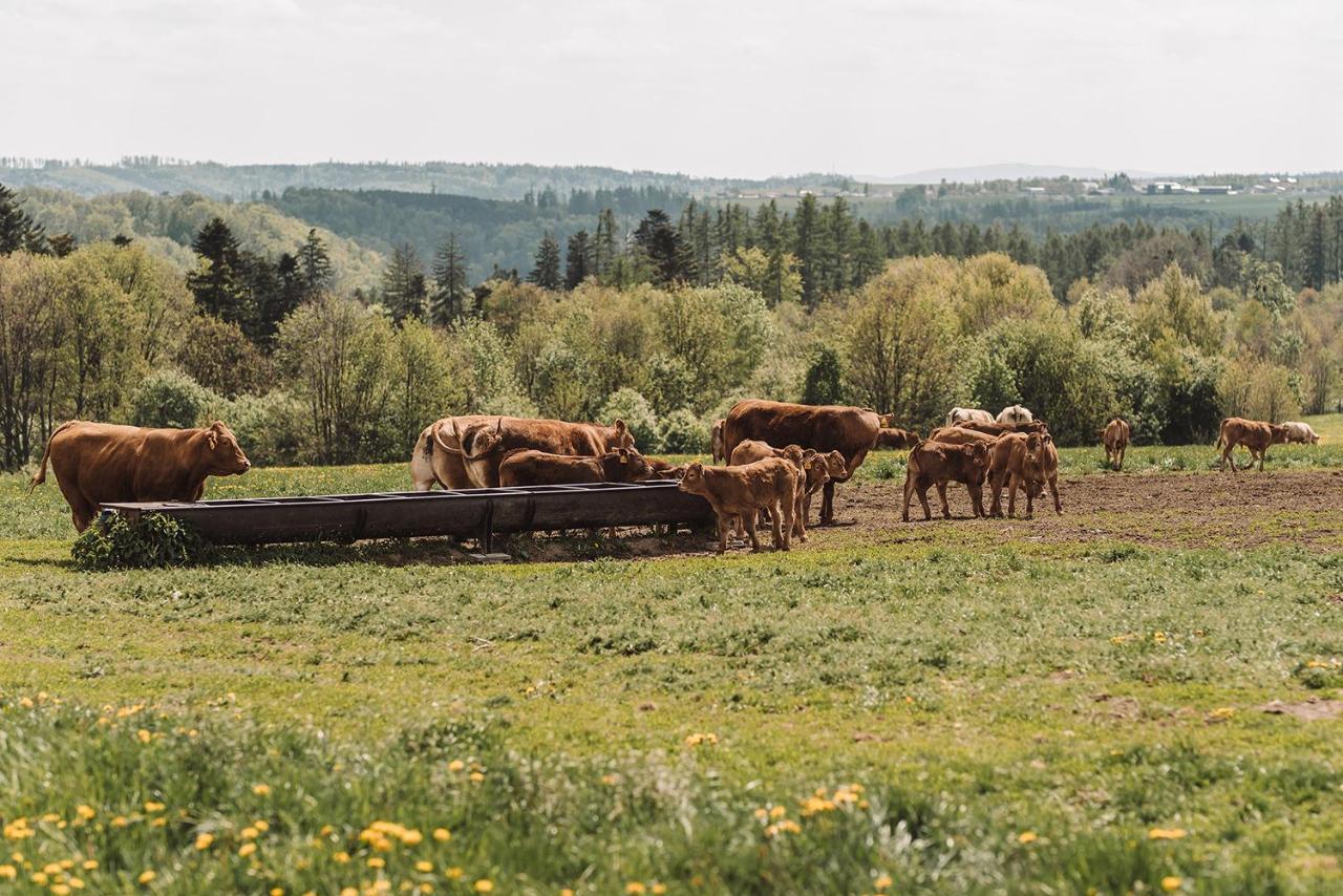 Farma Klokocov Villa Vitkov Exteriör bild