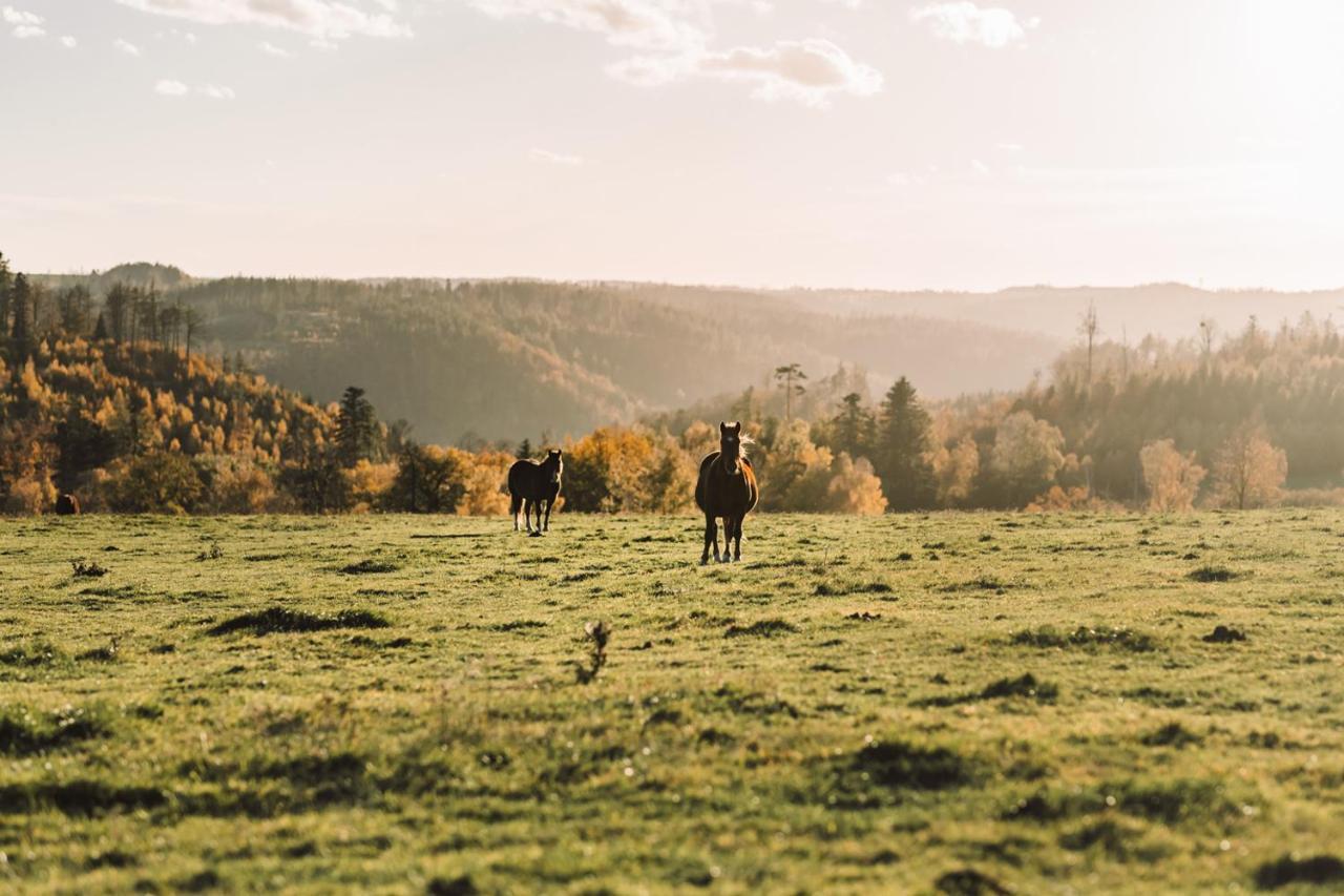 Farma Klokocov Villa Vitkov Exteriör bild